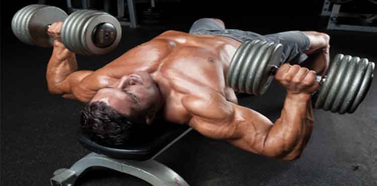 Dumbbell Bench Press Nedir ? Nasıl Yapılır ?