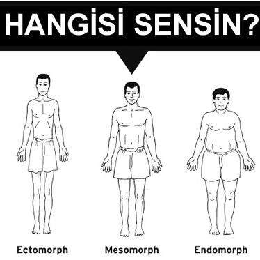 Spora Başlamadan Önce Vücut Tipini Öğren