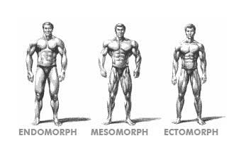 Ectomorf, mezomorf sau endomorf: Ce tip de siluetă ai
